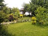 Kamienna (7)